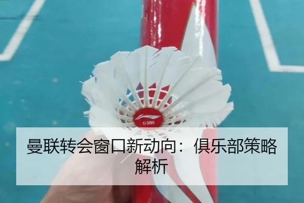 曼联转会窗口新动向：俱乐部策略解析